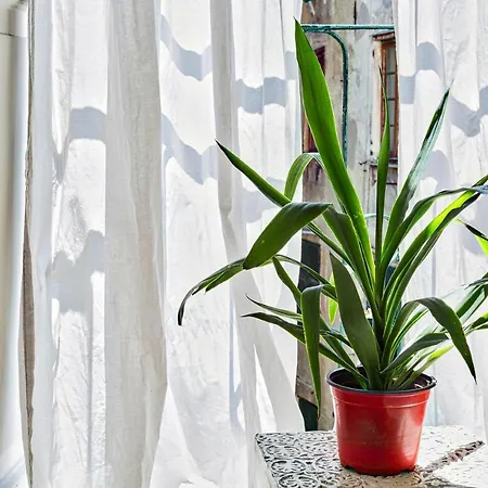 A Pochi Passi Da Piazza De Ferrari By Wonderful Italy Lägenhet *